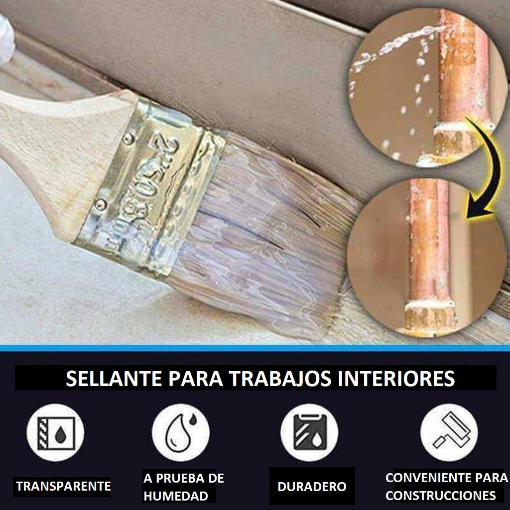 Sellador Para Filtraciones Y Fugas 300g + Pincel de regalo