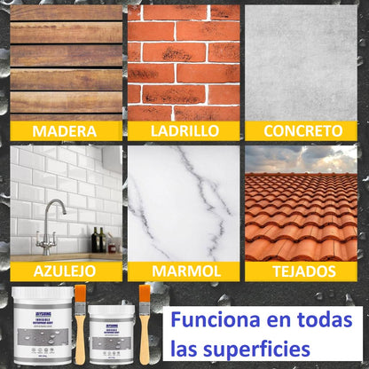 Sellador Para Filtraciones Y Fugas 300g + Pincel de regalo