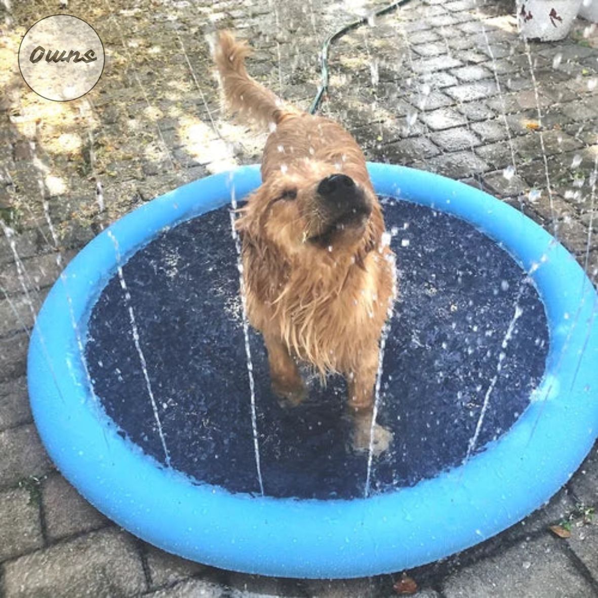 Alfombra Piscina PawSplash™ - Mantén a tu perro fresco y saludable todo el verano