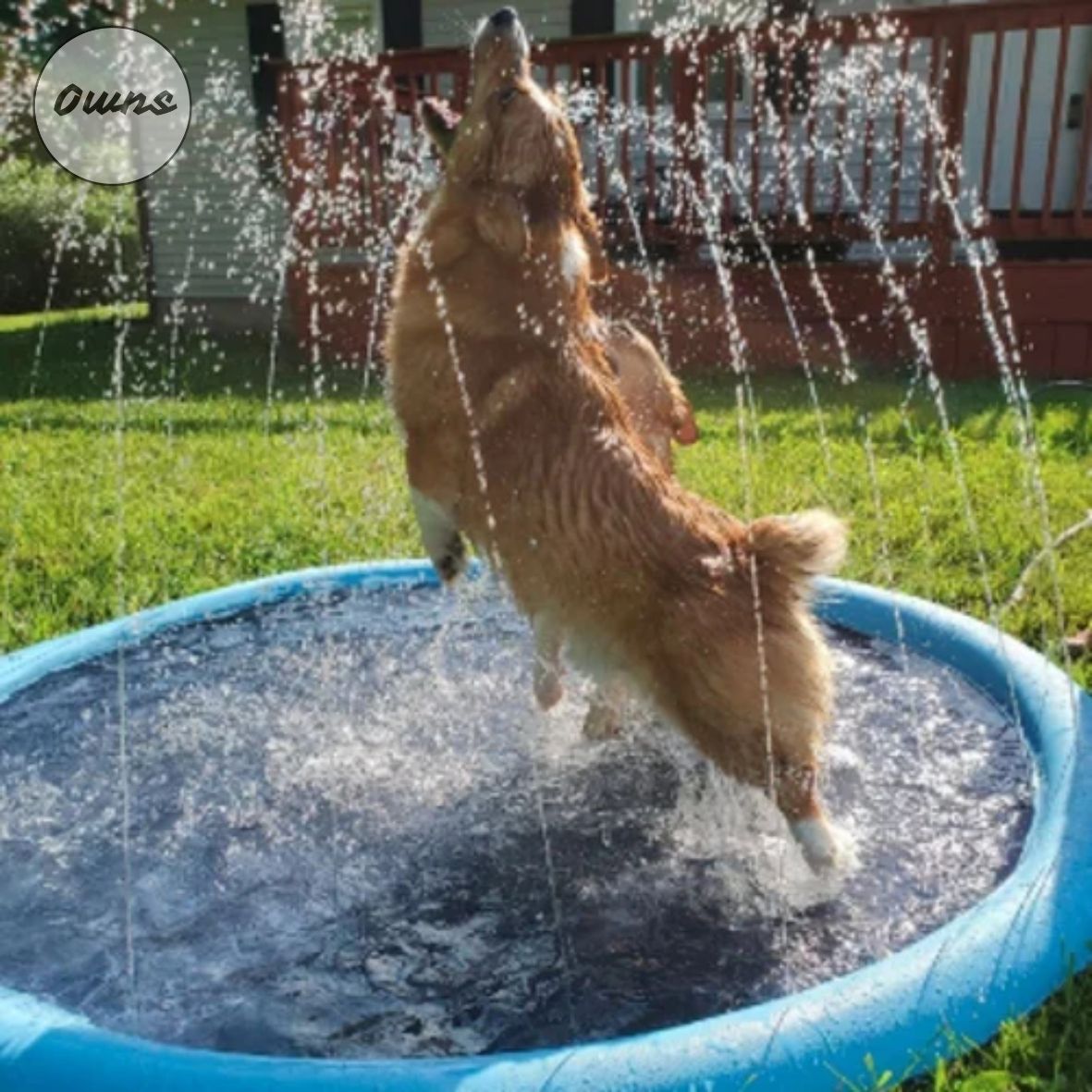 Alfombra Piscina PawSplash™ - Mantén a tu perro fresco y saludable todo el verano