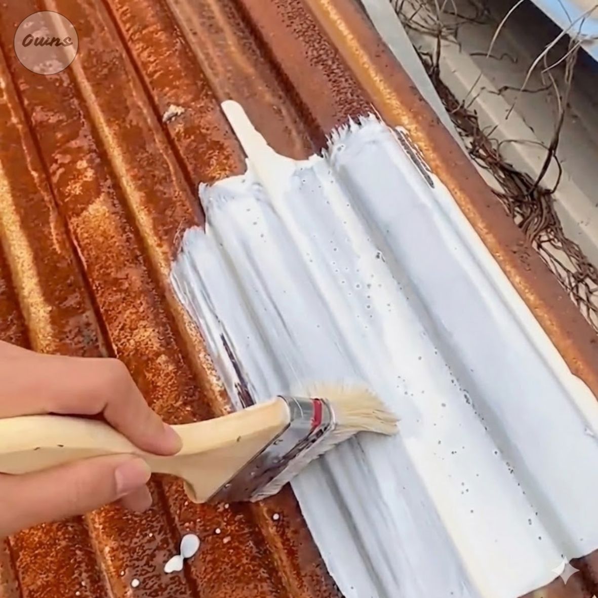 Removedor de Óxido SteelCare™ 300g – Protección duradera